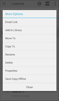 Rename in the More Options menu